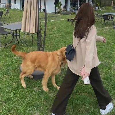 敦君与女朋友